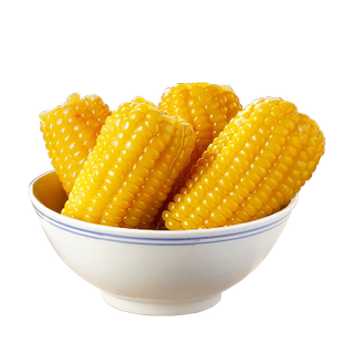 2025新有机甜糯玉米东北黄白黑玉米真空包装黏黄棒苞玉米新鲜现摘