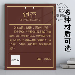 树木提示牌石楠丛生桂花枇杷女贞银杏花草牌植树节植物挂牌树木介绍标识提示牌订制学校公园园林果树信息挂牌