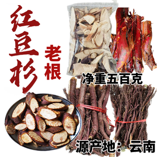 红豆杉树根正宗老根中药材富含紫杉醇煮水泡酒料云南货源代理零售