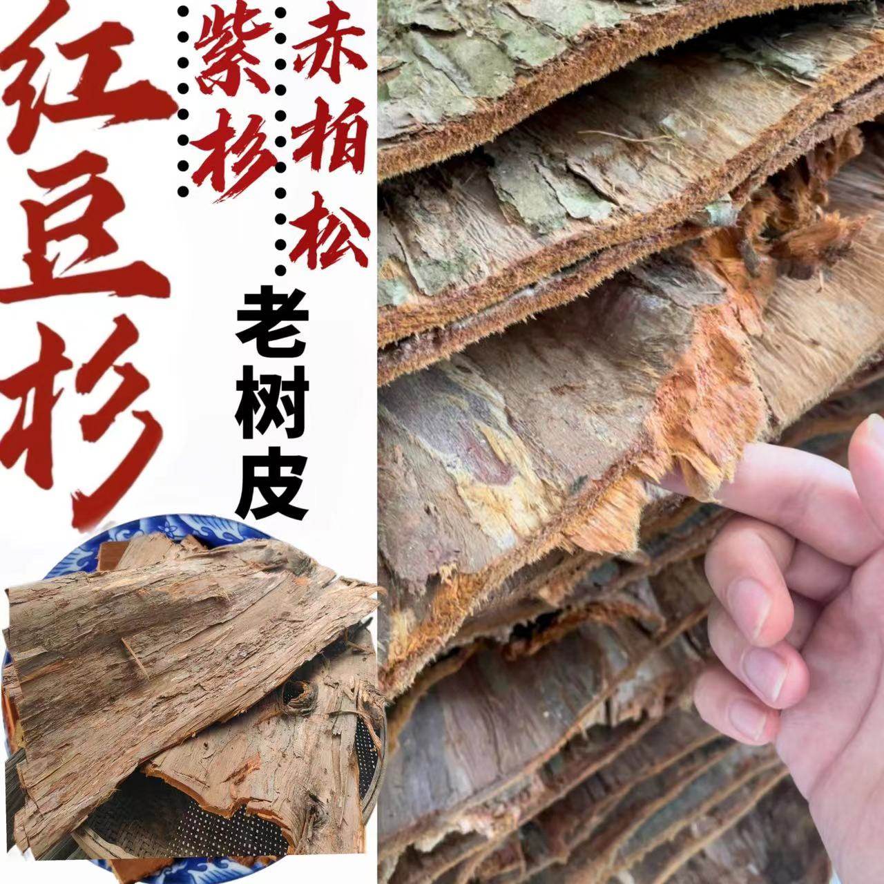 正宗红豆杉树皮富含紫杉醇煮水泡酒药材藏货零售紫杉赤柏松红豆杉