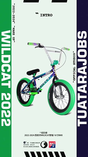 16寸MINIWILDCAT专业bmx高端