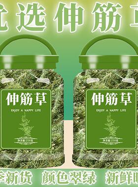 云南野生伸筋草500g 新鲜 绿色舒筋草泡脚另售远志透骨草益智仁茶