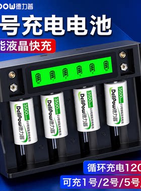 1号2号可充电电池C型D型充电套装
