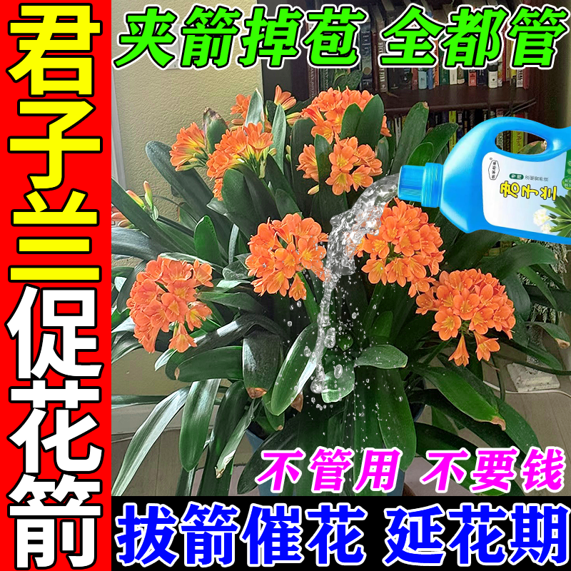君子兰专用肥拔箭催花兰花夹箭植物肥料专用促箭素开花剑营养液剂,鲜花速递/花卉仿真/绿植园艺,家庭园艺肥料,淘宝优惠券,粉丝福利购,淘宝优惠卷