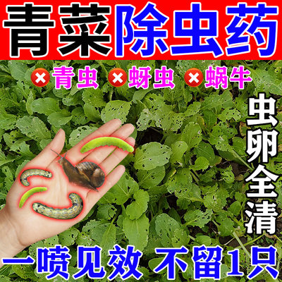 一次虫全清】青菜杀虫药高效灭虫