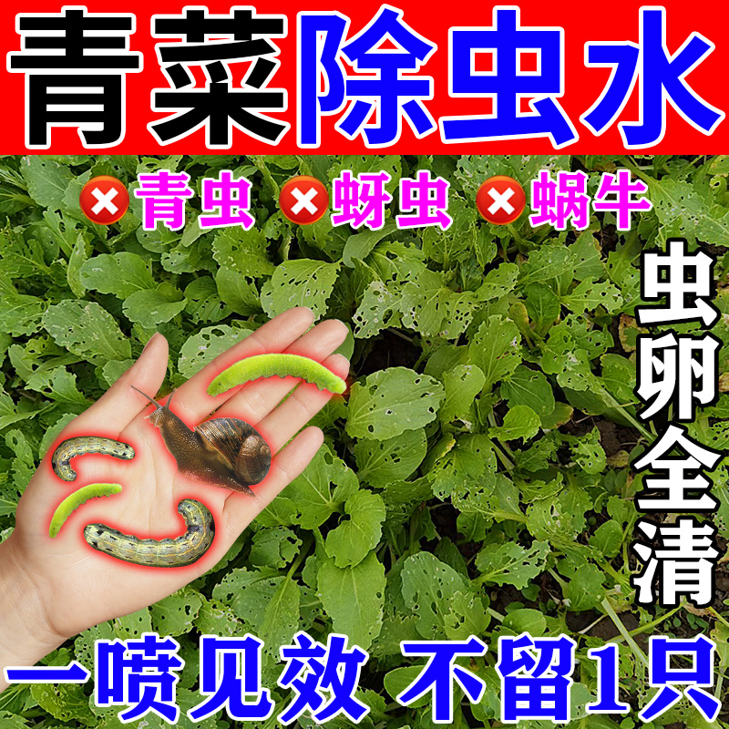 一次虫全清】青菜杀虫药高效灭虫