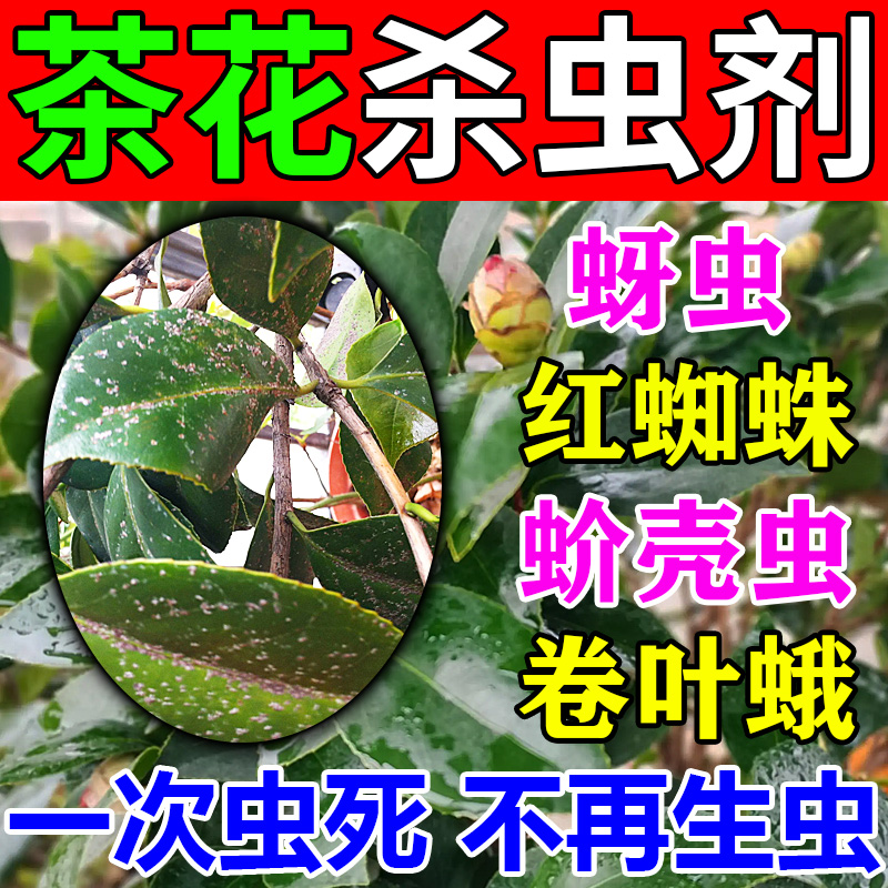 茶花杀虫剂药到虫立死害虫克星