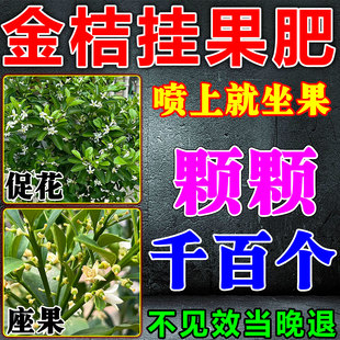 金桔保花保果药脆蜜脆皮树防落增甜防裂叶面肥料果树授粉坐果专用