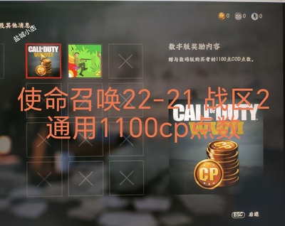 使命召唤22-21黑色行动cod—战区2-1100cp点数 或通行证解锁