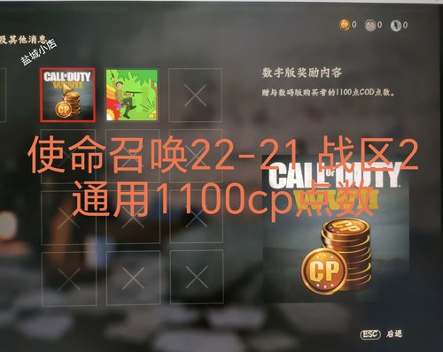 使命召唤22-21黑色行动cod—战区2-1100cp点数 或通行证解锁