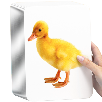 【超大尺寸】婴幼儿早教益智玩具