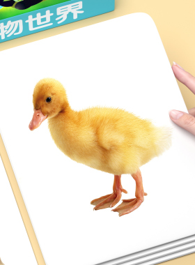 动物认知卡片宝宝早教婴幼儿看图识物启蒙书一岁儿童识字闪卡全套