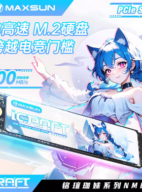 铭瑄M.2固态硬盘 1TB 3200MB/s NM300A 高速读取通用国风二次元
