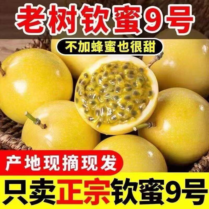 云南钦蜜9号黄金百香果新鲜