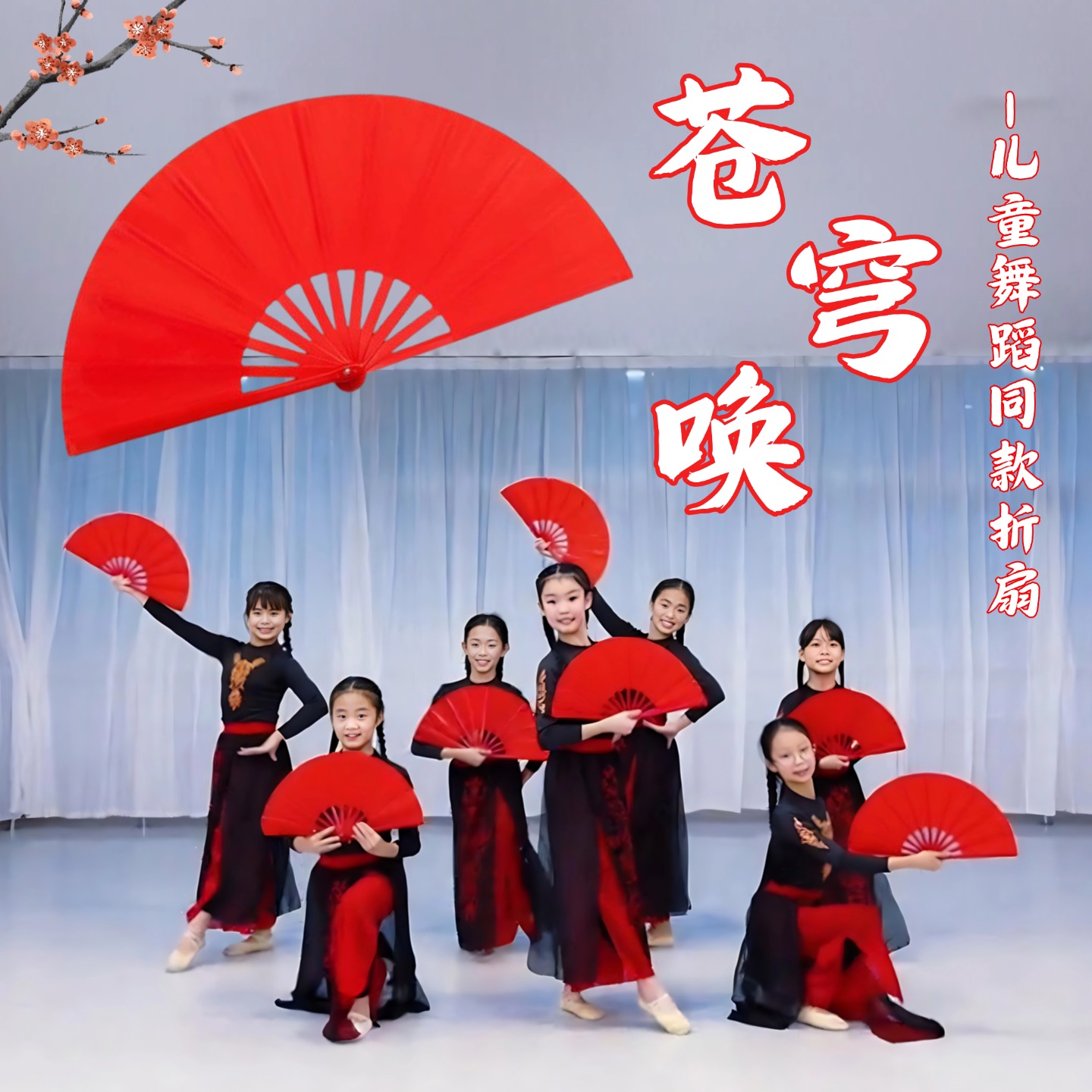 苍穹唤太极功夫响扇儿童舞蹈扇子