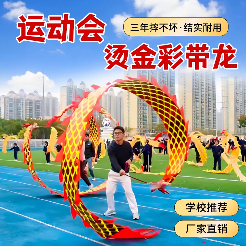 成人运动会表演专用舞龙彩带