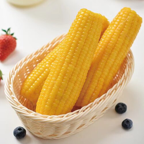 【试吃2根】头茬10支7斤东北黄糯玉米均重320-420g大棒粗粮粘玉米