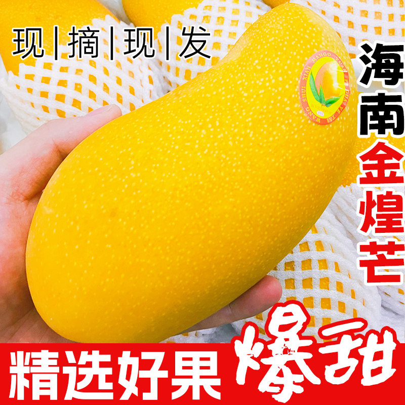 海南金煌芒三亚特产芒果当季新鲜水果应季金黄水仙芒超大果礼盒装