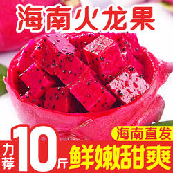 海南三亚特产红心火龙果金都一号大果5当季新鲜热带水果顺丰10斤