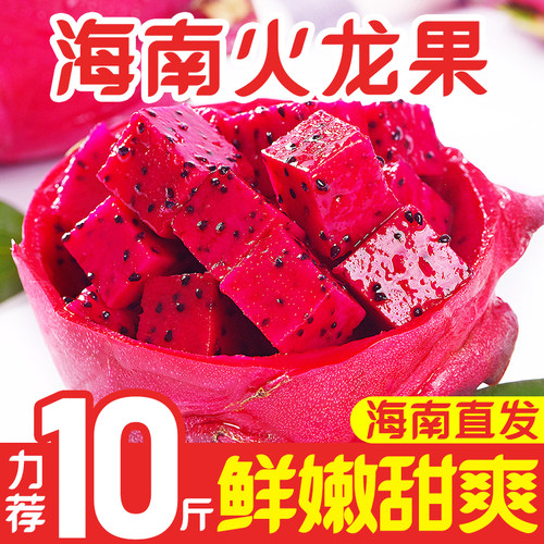 红心火龙果三亚特产当季新鲜