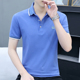 T恤衫 中学生夏季 上衣男士 翻领半袖 高端短袖 t恤男棉刺绣圆领polo衫