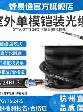 烽易通 24芯室外单模光缆 GYTA/GYTS层绞式24芯铠装室外单模光纤 24芯室外光缆 电信级 24芯万兆光缆