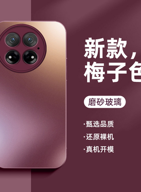 适用一加13手机壳新款磨砂玻璃1+13男女镜头全包防摔高级感oneplus保护套梅子色潮牌