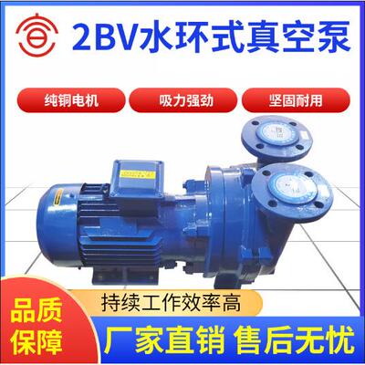 2BV水环式真空泵铸铁不锈钢防爆SKA水循环真空泵厂家