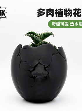 创意多肉专用花盆仙人球十二卷可爱恐龙蛋小花盆家用透气块根花盆