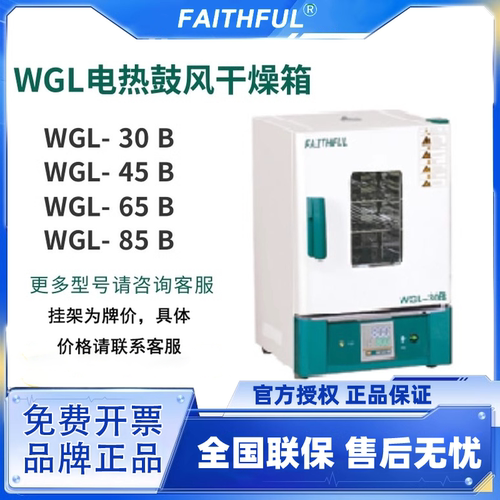 菲斯福电热鼓风干燥箱电热鼓风干燥箱WGL-30B实验室不锈钢