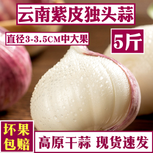 云南独头蒜紫皮大蒜独头干大蒜头红皮2025年新鲜现挖5斤装 紫皮蒜