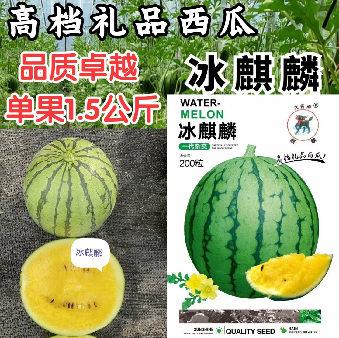 甜脆黄瓤西瓜种子麒麟