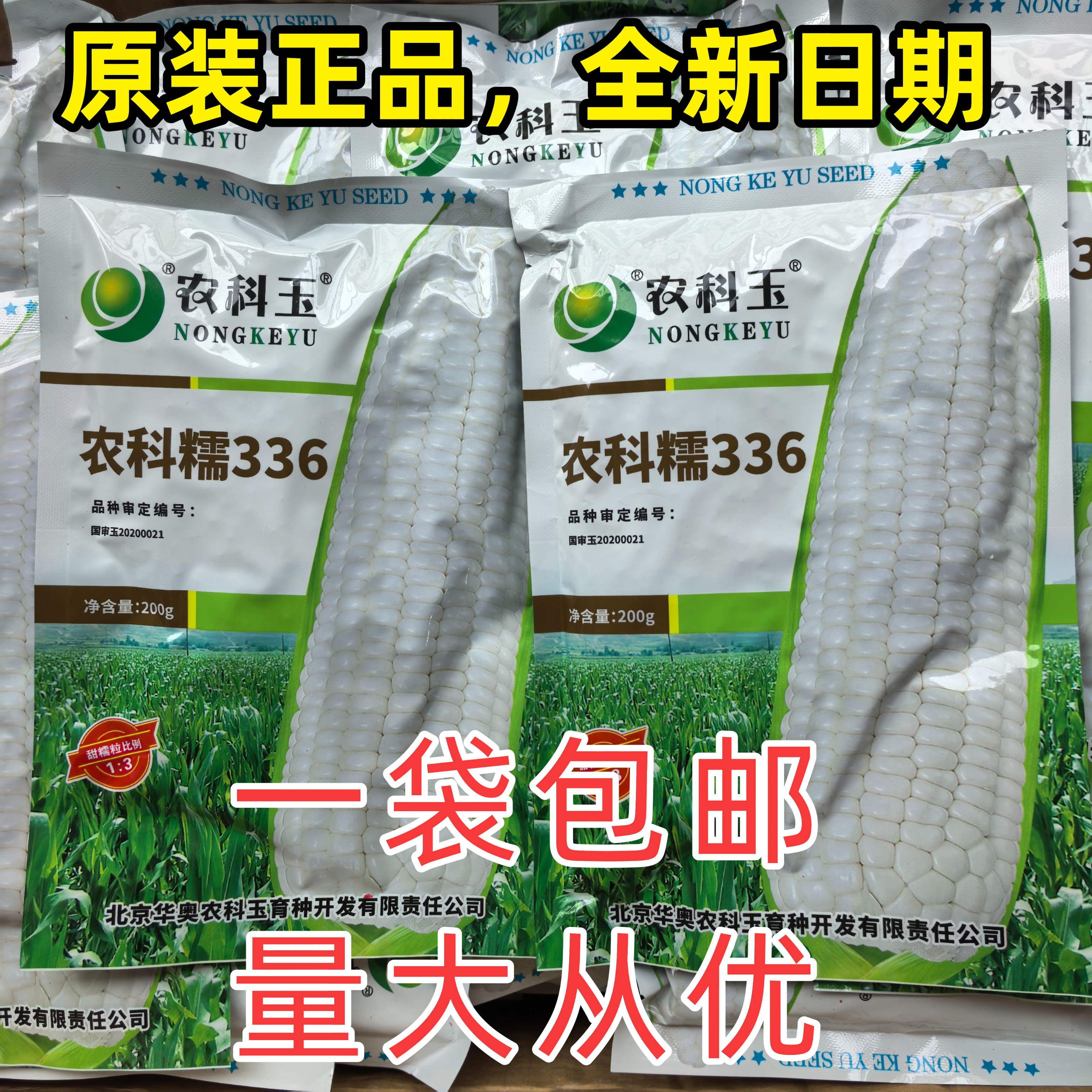336糯玉米种子农科玉甜糯大棒