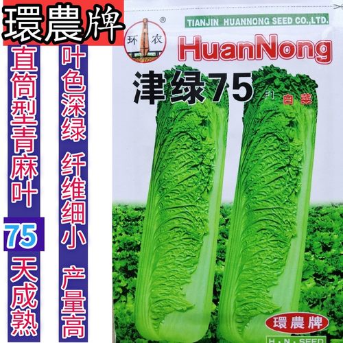 天津青脆麻叶菜大白菜环农早熟