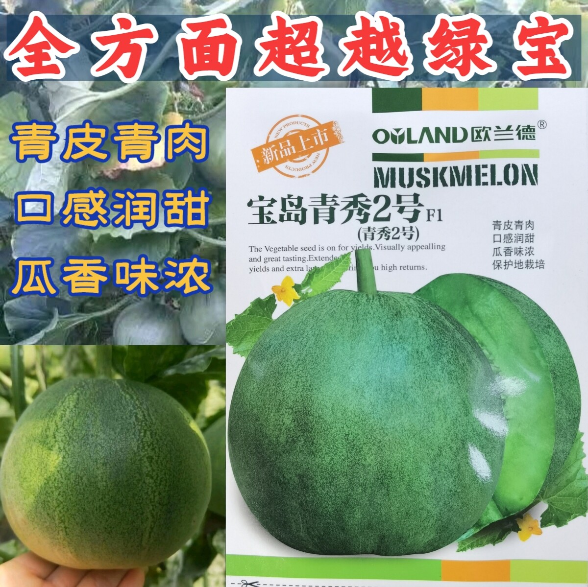 青秀2号绿皮绿肉绿宝甜瓜香瓜