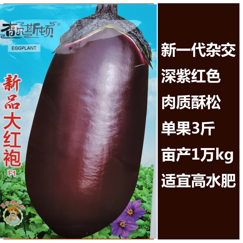 大红袍紫茄子种子种籽 紫长圆茄罐茄椭圆高产抗病烧烤茄子种子孑