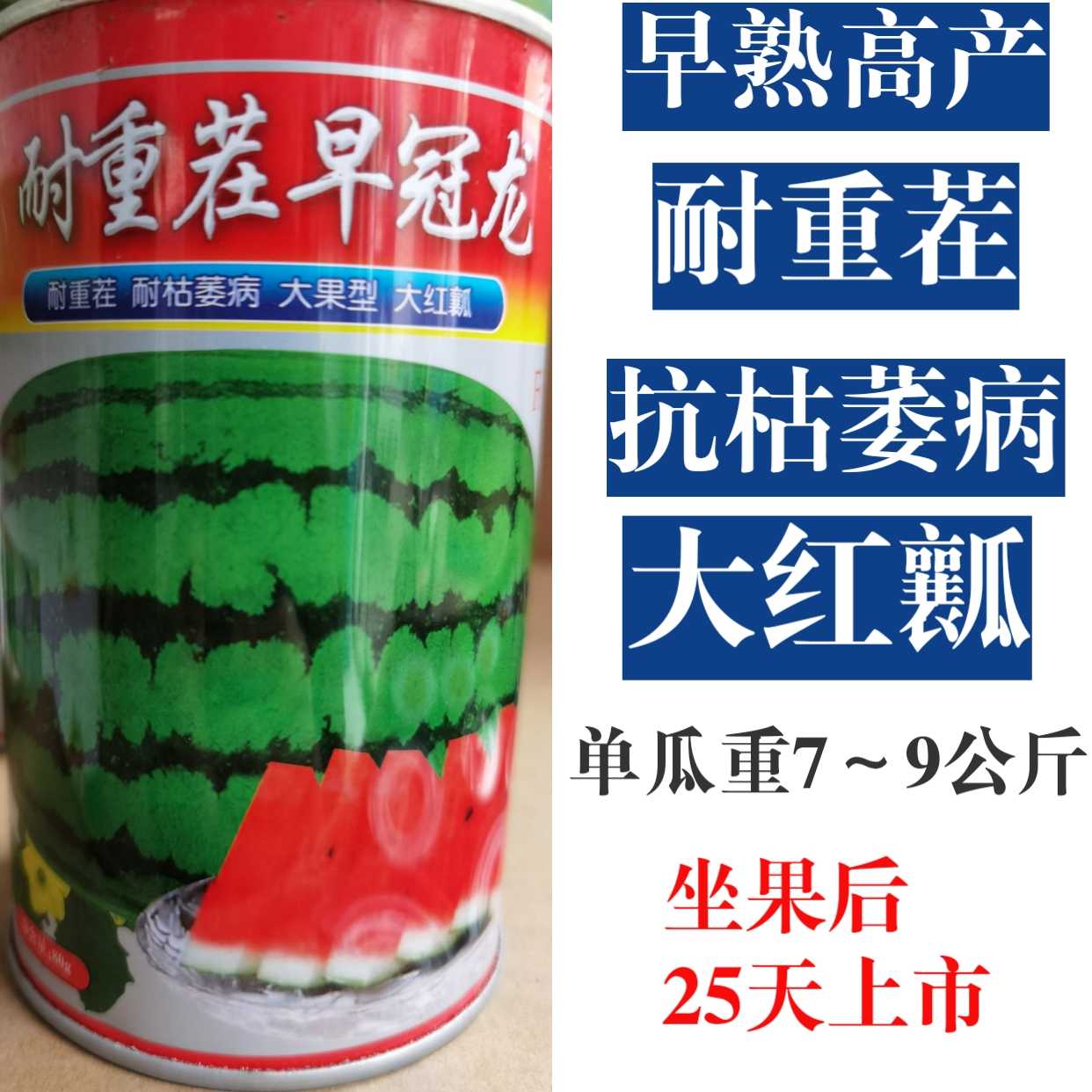 抗重茬早熟超甜赣新抗病