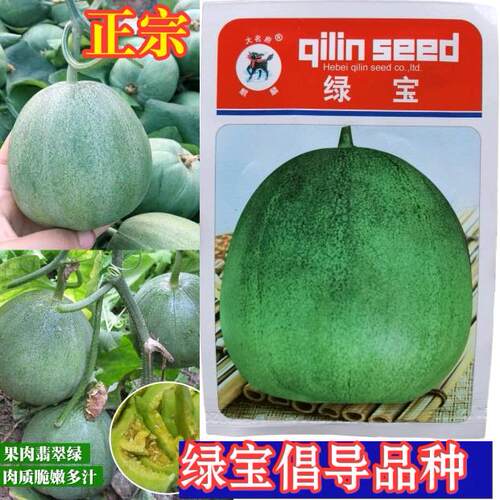绿宝甜瓜种子籽羊角蜜超甜绿宝种子高产绿皮绿肉薄皮甜瓜种籽子孑 - 封面