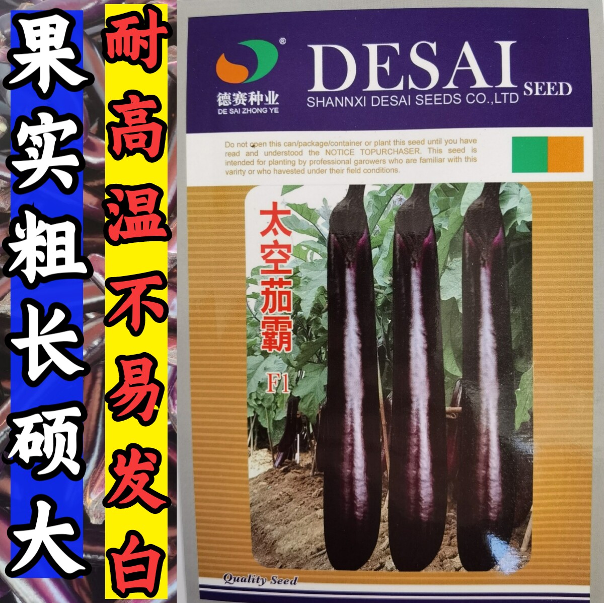 大果深紫红耐高温特高产烧烤茄