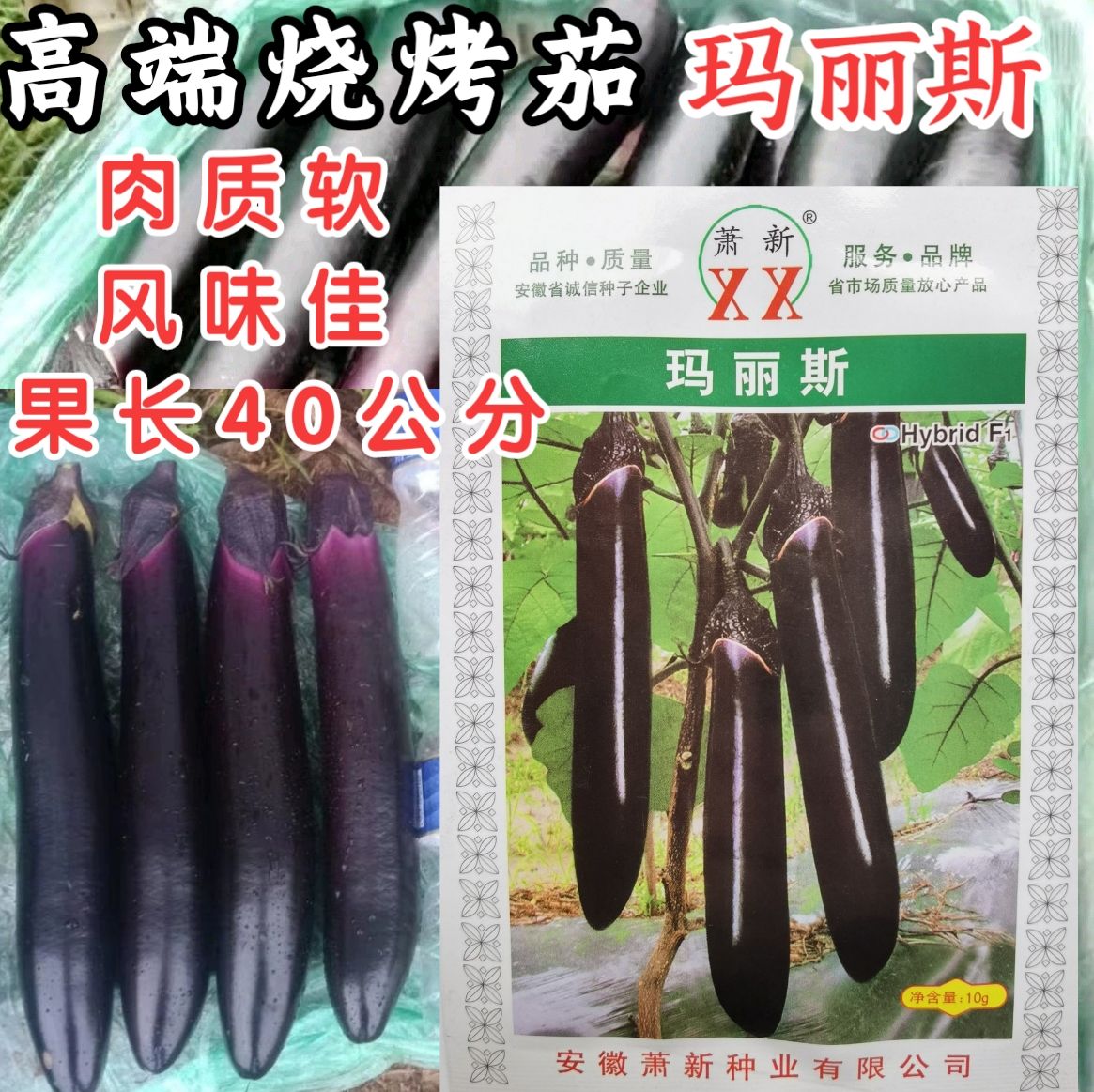 玛丽斯紫长茄种紫黑光亮耐寒耐热