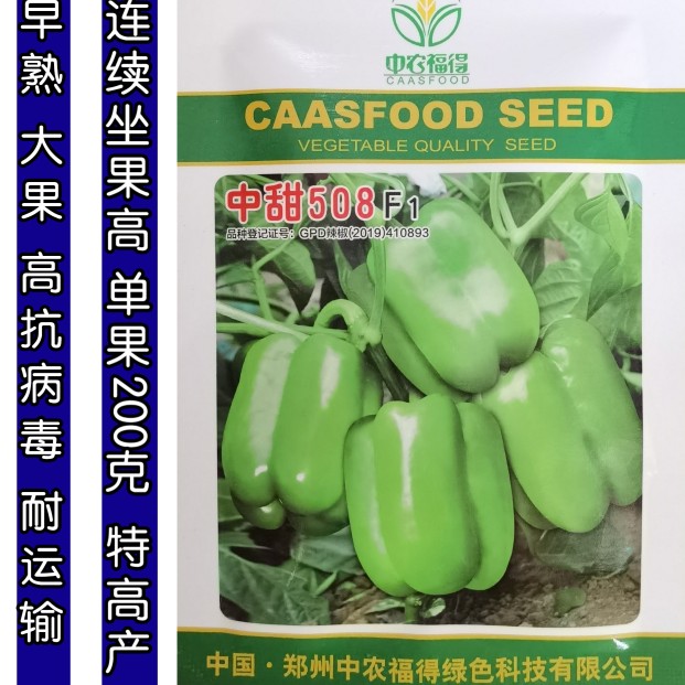 中甜508甜椒种子 特大果绿皮青椒甜椒柿椒灯笼椒种子籽方椒辣椒