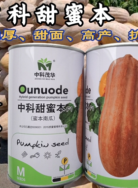 大果甜蜜本南瓜种子中科茂华早中熟高产面甜蜜本南瓜倭瓜种子籽孑