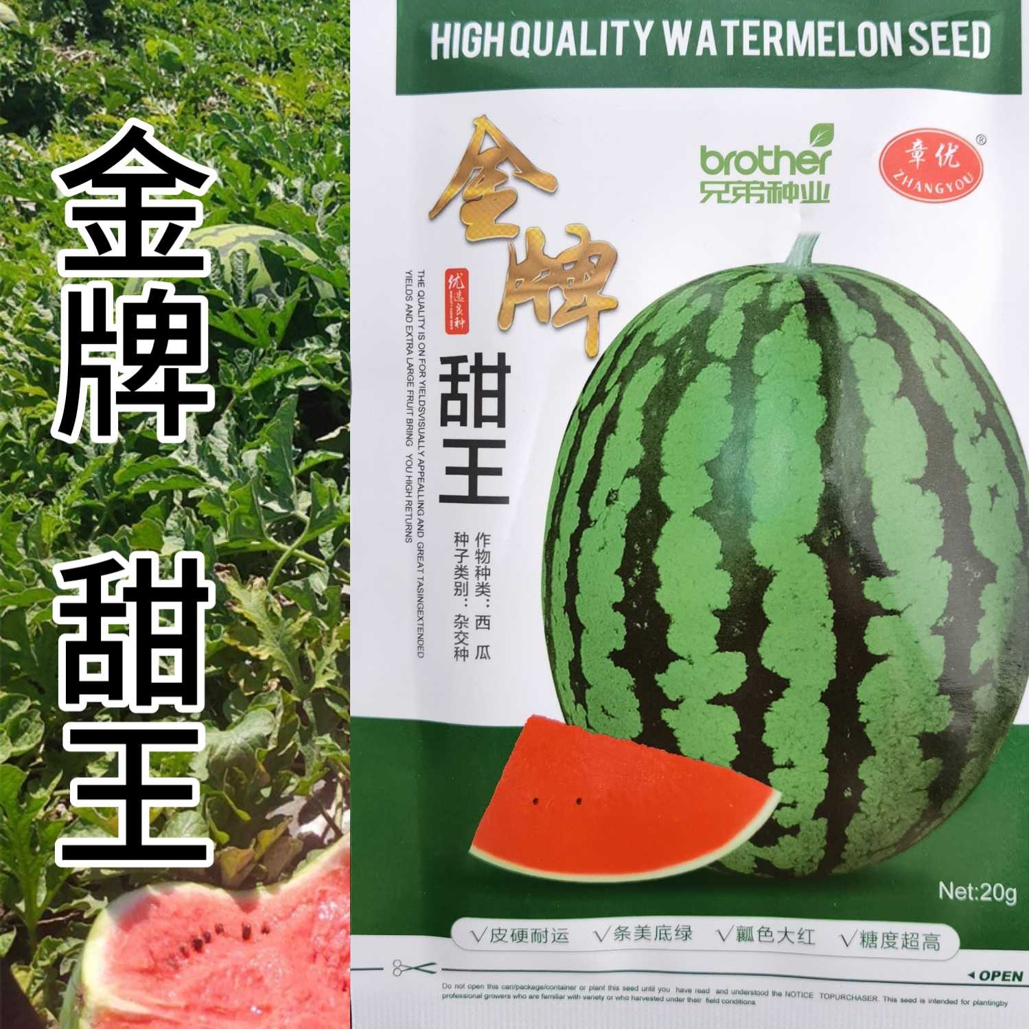 抗病高产西瓜籽西瓜种子章优