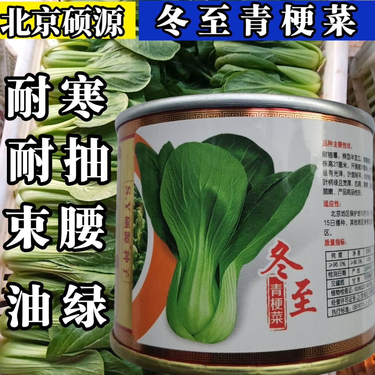 耐寒耐抽青菜小油菜种子秋冬