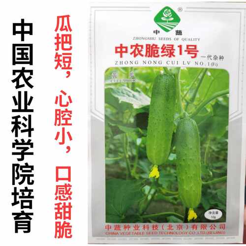 中蔬农科院水果黄瓜甜脆口感好