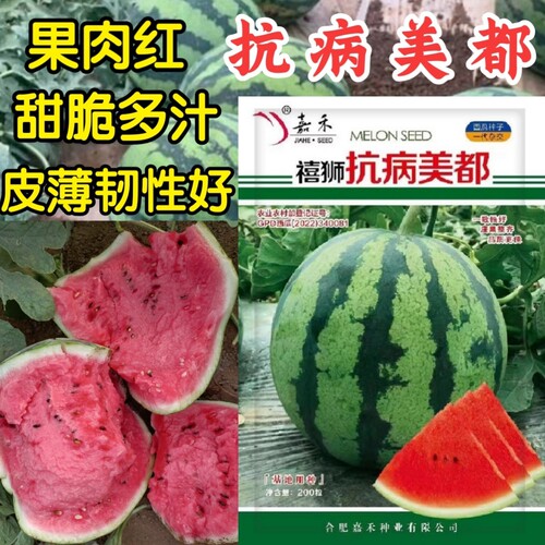 甜脆红瓤西瓜种子嘉禾
