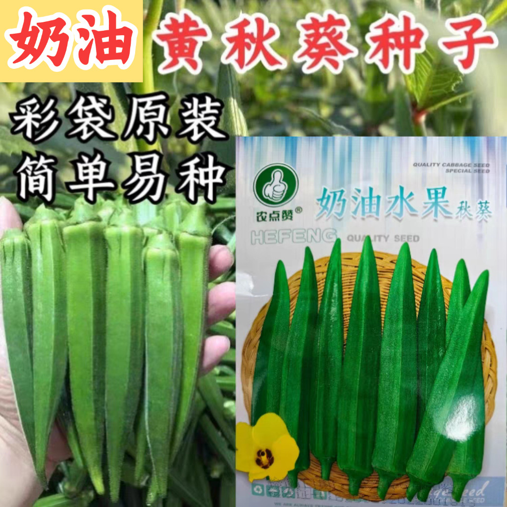 黄秋葵种子籽孑 水果秋葵种子秋葵春季夏四季播蔬菜阳台庭院盆栽,鲜花速递/花卉仿真/绿植园艺,家庭园艺种子,淘宝优惠券,粉丝福利购,淘宝优惠卷