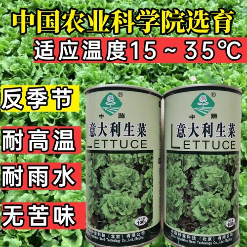 农科院耐热耐寒耐抽苔生菜种中蔬