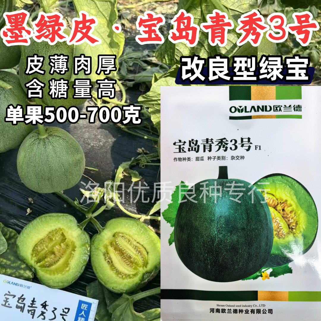 宝岛青秀3号甜瓜种子墨绿皮绿肉薄皮甜脆高甜糖绿宝香甜瓜种子籽