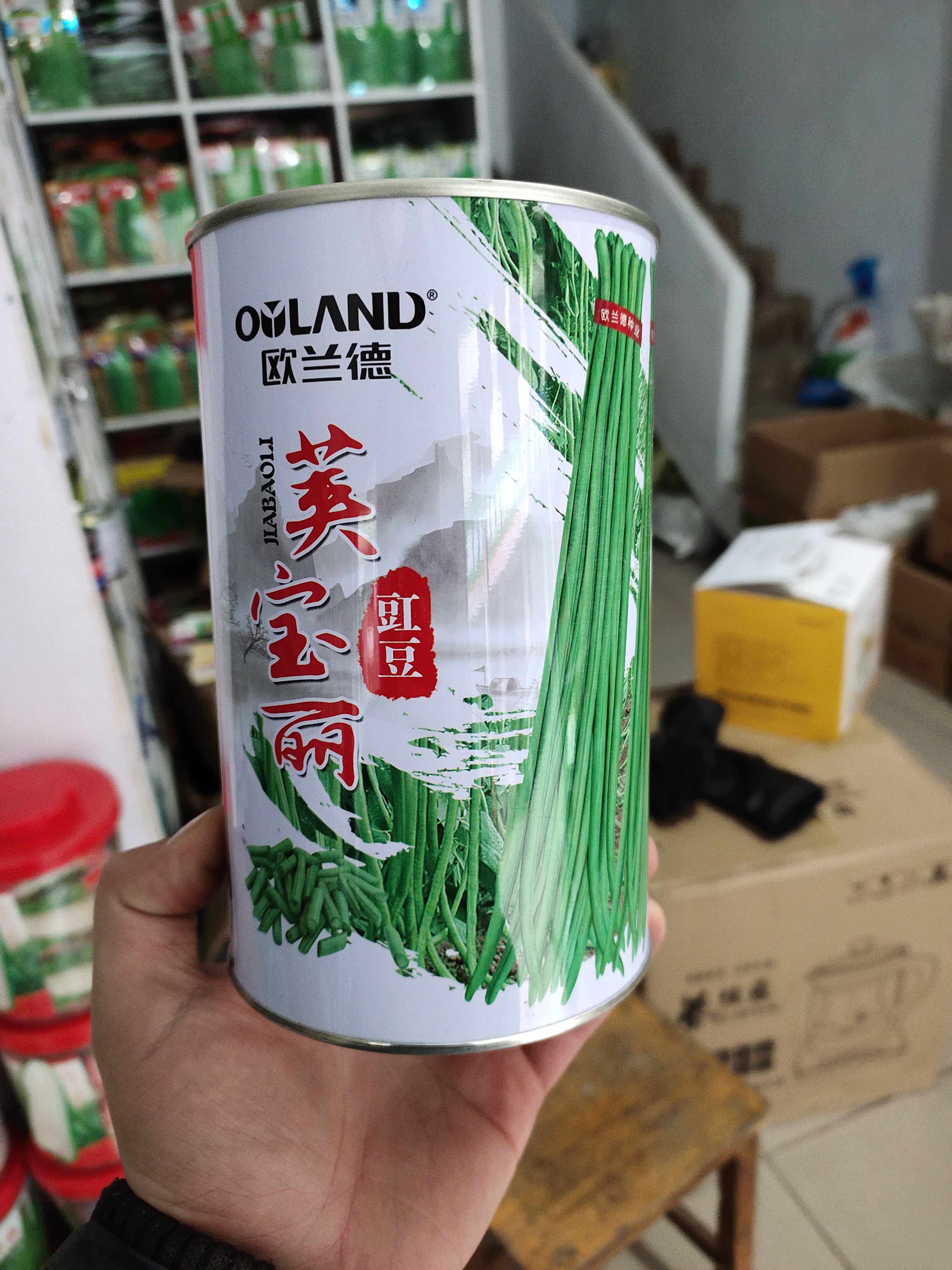 欧兰德荚宝丽豇豆种子 高产4荚翠绿肉厚顺直不老化长豆角500克桶